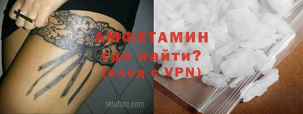гашик Козельск
