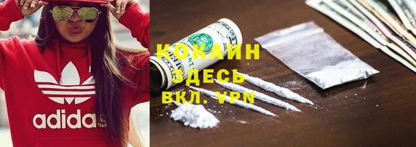 гашик Козельск
