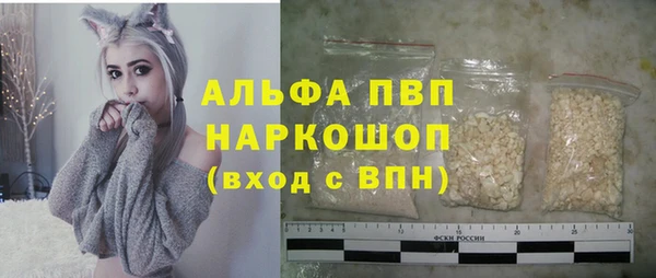 хмурый Корсаков