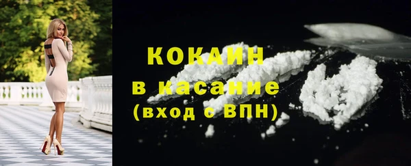 гашик Козельск