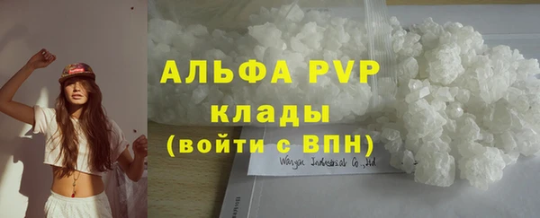 хмурый Корсаков