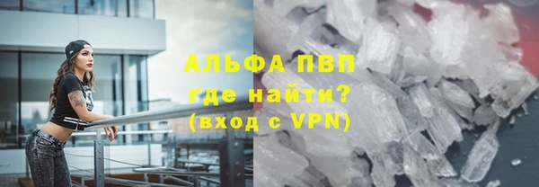 гашик Козельск