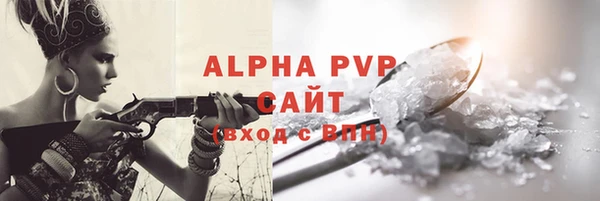 хмурый Корсаков