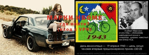 гашик Козельск